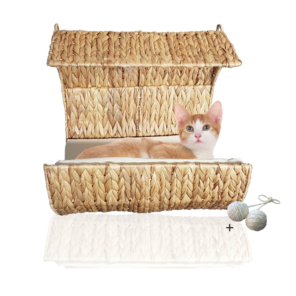 Rohrschneider Cat Radiator Bed & Hammock