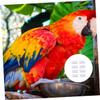 FRCOLOR 8-Piece White Plastic Parrot Feeders with Simple Hanging Design view 2