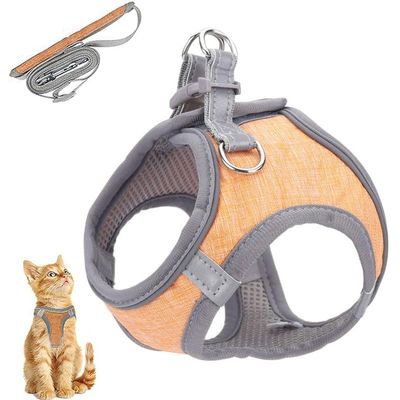 Cat Harness and Leash Set for Walking