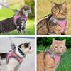 Cat Harness and Leash Set for Walking view 4