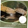 minkissy Turtle Basking and Climbing Platform view 4