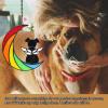 BSEID Stained Glass Dog Angel - Pet Memorial Gifts for Dogs view 3