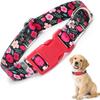 Dog Collar for Small Dogs, Plastic Quick-Release Buckle, Floral Pattern, XS–XL, Ostrich, XL view 1