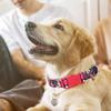 Dog Collar for Small Dogs, Plastic Quick-Release Buckle, Floral Pattern, XS–XL, Ostrich, XL view 2