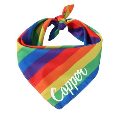 Personalized Embroidered Name Dog Bandana, Rainbow Cotton Triangle Scarf for Medium Dogs