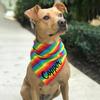 Personalized Embroidered Name Dog Bandana, Rainbow Cotton Triangle Scarf for Medium Dogs view 3