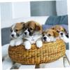minkissy 5-Pack Bone-Shaped Pet ID Tags view 3
