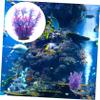 minkissy Aquarium Landscape Plant view 4