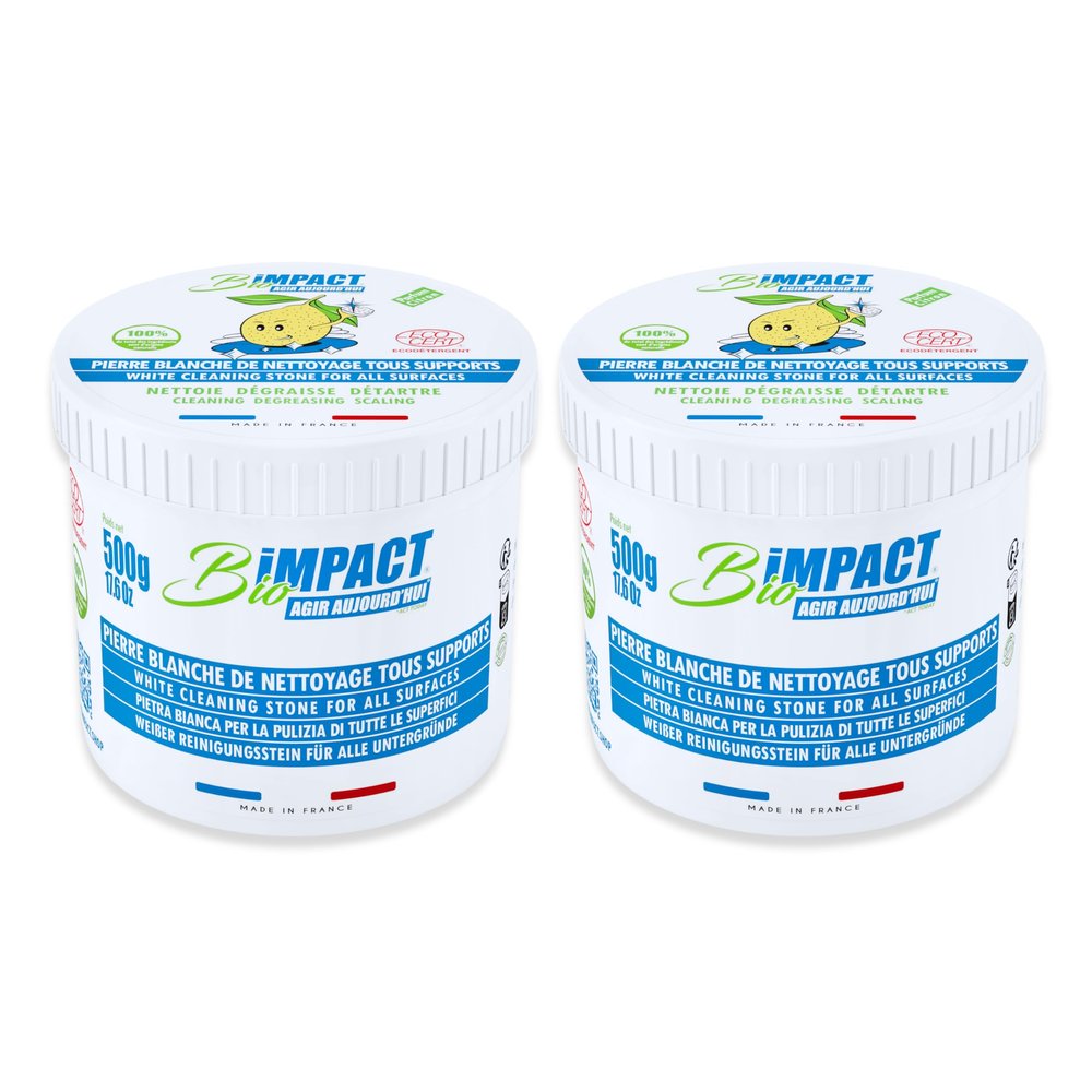 Universal Cleaner for the Entire Household | Cleaning Stone | incl. Sponge | 2 x 500 g | ECOCERT-Certified