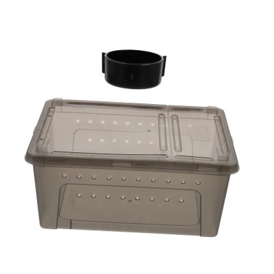 Reptile Enclosures with Ventilation Holes and Escape Prevention, 2-Pack