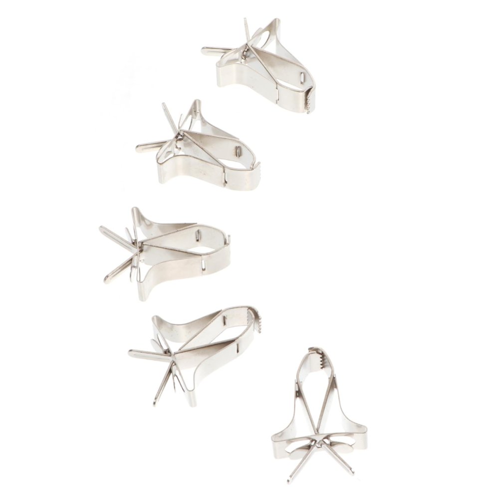 5 Stainless Steel Food Clips for Bird Cages, Silver