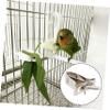 5 Stainless Steel Food Clips for Bird Cages, Silver view 4