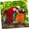 minkissy 6-Piece Open Leg Rings for Parrots and Birds view 2
