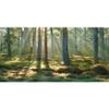 MIRRORANG 120 x 46 cm Forest Terrarium Background, Tropical Aquarium Background with Sunny Green Giant Tree Reptile Habitat Scene, Durable Vinyl view 1