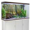 MIRRORANG 120 x 46 cm Forest Terrarium Background, Tropical Aquarium Background with Sunny Green Giant Tree Reptile Habitat Scene, Durable Vinyl view 3