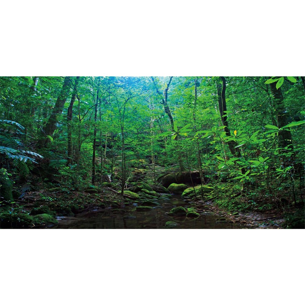 MIRRORANG 180 x 61 cm Deep Forest Terrarium Background