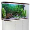 MIRRORANG 180 x 61 cm Deep Forest Terrarium Background view 3