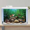 MIRRORANG 180 x 61 cm Deep Forest Terrarium Background view 4