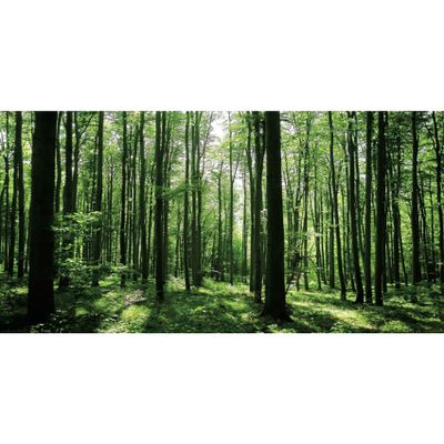 MIRRORANG 76x30cm Forest Terrarium Background