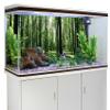 MIRRORANG 76x30cm Forest Terrarium Background view 3
