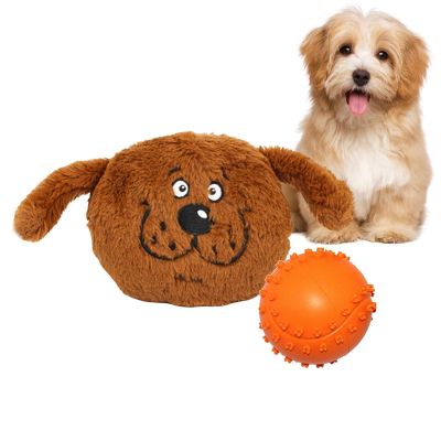 CENMOO Interactive Dog Toy