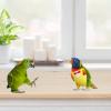 Minkissy Parrot Diaper for Birds view 2