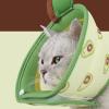 Firulab Cat Cone Collar view 2