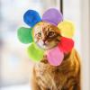 minkissy 9-Piece Pet Hat Set with Rabbit Ears, Cat Collar Cones and Cosplay Hats view 4