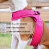 BullyBillows Boomerang Harness, Non-Restrictive, Lightweight, Easy On and Off, Hook-and-Loop Closure, Carmine Rose, Size M view 4