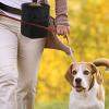 Eastuy Dog Treat Pouch for Training view 2