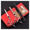 RWRAPS 6-Inch Crane-Beak Hairdressing Scissors Set, Flat-Cut and Thinning Scissors view 2