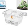 Fish Breeding Box, Adjustable Breeding Chamber with Suction Cups, Multifunctional Freshwater Box for Injured or Aggressive Fish view 1