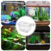 Fish Breeding Box, Adjustable Breeding Chamber with Suction Cups, Multifunctional Freshwater Box for Injured or Aggressive Fish view 2
