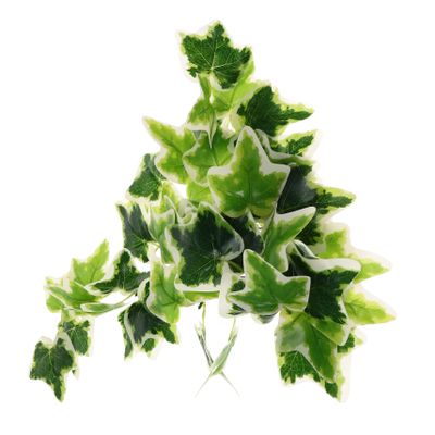 minkissy Reptile Hanging Plant with Suction Cup