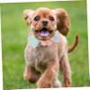 Minkissy Knitted Pet Collar with Bow view 2