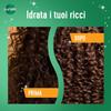 Italian Gourmet Shampoo for Curly Hair and Elastic Curls, 3 x 250 ml view 4