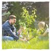 Animal Tree Biodegradable Pet Urn Pure view 4