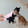 Amosfun Interactive Cat Toy Set with Bells view 4