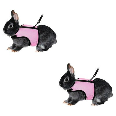 minkissy 2-Piece Pet Harness Set, Small Rabbit Harness and Leash