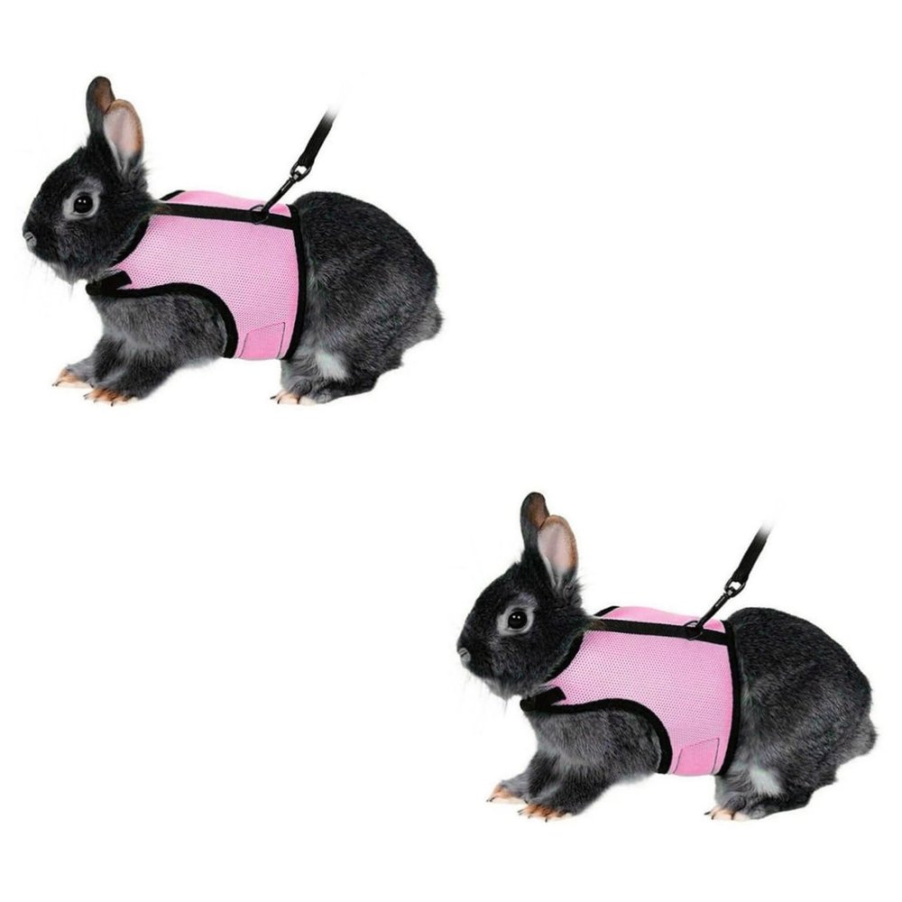 minkissy 2-Piece Pet Harness Set, Small Rabbit Harness and Leash