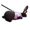 minkissy 2-Piece Pet Harness Set, Small Rabbit Harness and Leash view 2