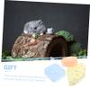 4Pcs Pet Molar Stone Chew Toy view 2