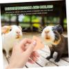 4Pcs Pet Molar Stone Chew Toy view 3