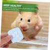 4Pcs Pet Molar Stone Chew Toy view 4