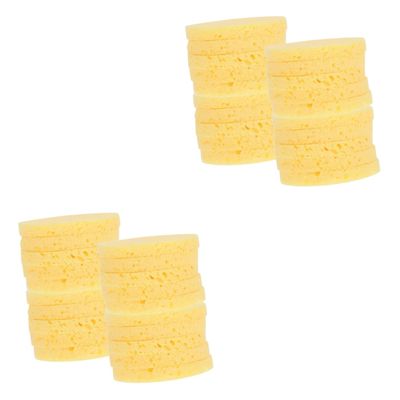 FRCOLOR 100-Piece Portable Moist Sponge Discs for Hermit Crab Hydration