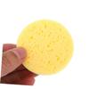 FRCOLOR 100-Piece Portable Moist Sponge Discs for Hermit Crab Hydration view 2