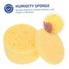 FRCOLOR 100-Piece Portable Moist Sponge Discs for Hermit Crab Hydration view 3