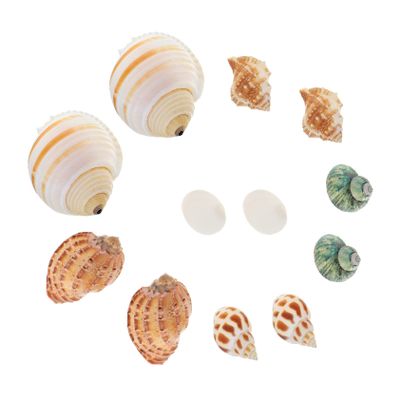 PRETYZOOM 12-Piece Natural Sea Snail Shell Decorations for Aquariums, DIY Fish Tank Decor