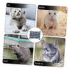 ABOOFAN 3-Piece Hanging Cat Hammock, Warm Cat Bed and Pet Sleeping Nest for Kittens view 3