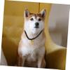 Minkissy Pet Necklace Beaded Dog Collar view 3
